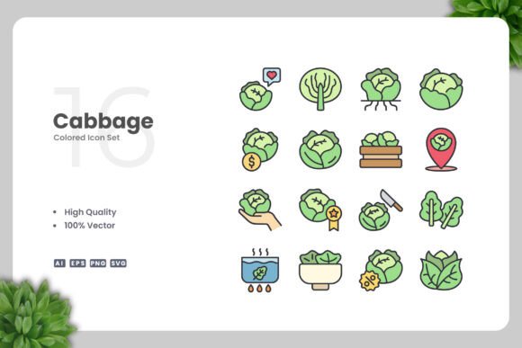 Cabbage Color Icons for Modern Design Projects